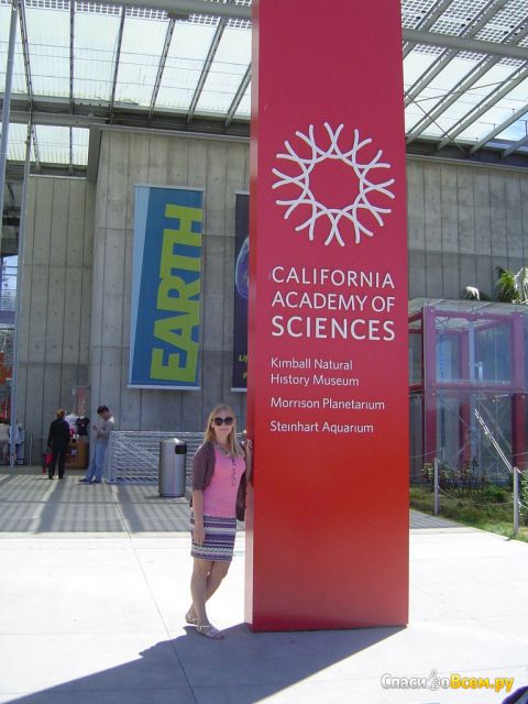 Калифорнийская академия наук (США, Сан-Франциско)