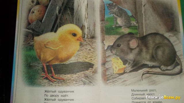 Учебник для малышей "Живая азбука", Владимир Степанов