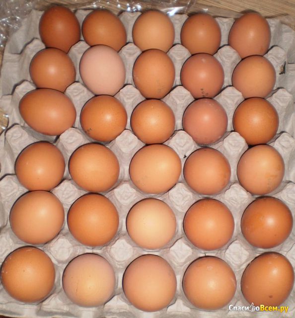 Птицефабрика "Боровская" Яйцо куриное пищевое столовое, первая категория