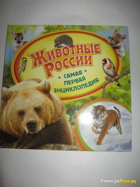 Детская книга "Животные России. Самая первая энциклопедия"