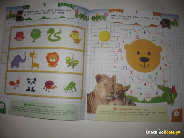 Детская книга "В зоопарке. Забавные уроки", Олеся Обозная