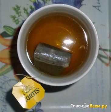 Зеленый чай Curtis Mango Green Tea в пакетиках