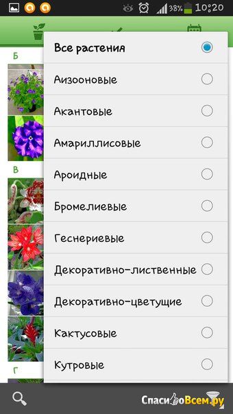 Приложение Цветовод для Android