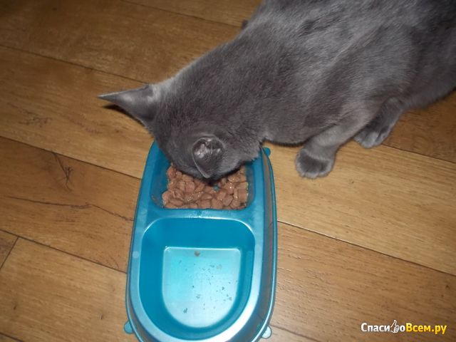 Корм для кошек Katty "Вкусная порция" Говядина и ягнёнок в соусе