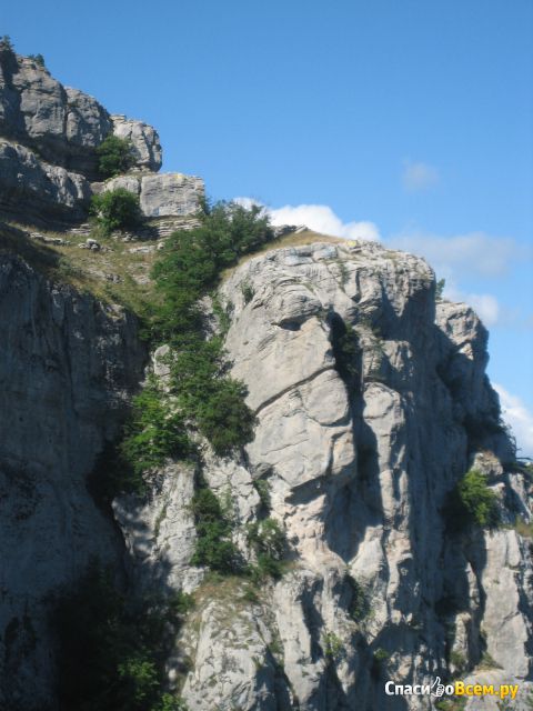 Гора Ай-Петри (Крым)