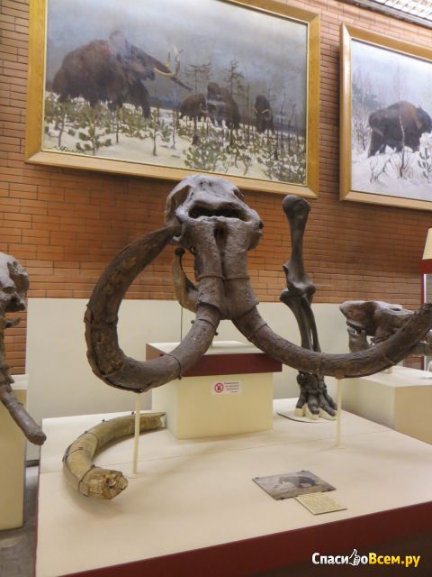 Палеонтологический музей им. Ю.А.Орлова (Москва, ул. Профсоюзная, д. 123)