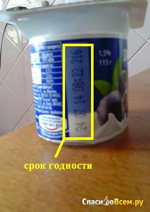 Йогурт черничный "Живинка" 1,5% Danone