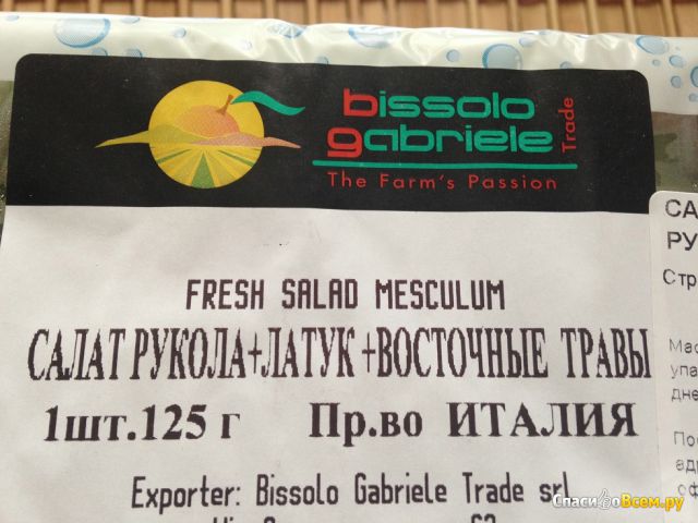 Салат "Bissolo Gabriele" Руккола, латук, восточные травы