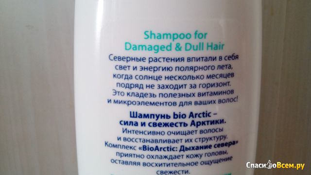 Шампунь Faberlic Bio Arctic с экстрактом медовой морошки для поврежденных и тусклых волос
