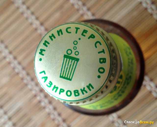 Газированный напиток "Министерство газировки" Ситро с экстрактом лимонных и апельсиновых корок