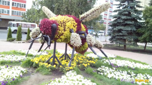 Памятник бурзянской пчеле (Россия, Уфа)
