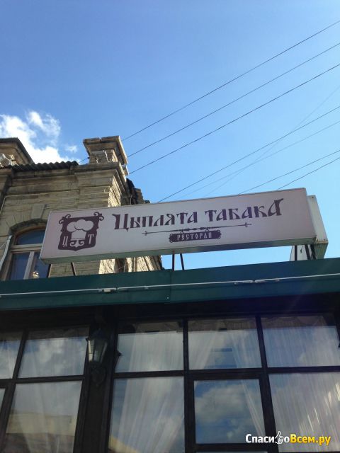 Ресторан "Цыплята табака" (Челябинск, ул. Кирова, д. 139)