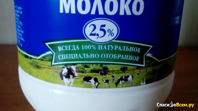 Молоко питьевое пастеризованное "Домик в деревне" 2,5%