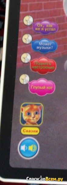 Интерактивная 3D игрушка Talking Tom "Кот Том"