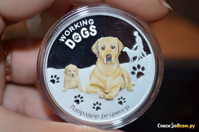 Серебряная монета 1$ Tuvalu "Лабрадор ретривер" из серии Working Dogs 2011 г.