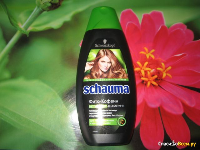 Шампунь Schwarzkopf Schauma "Фито-Кофеин" для тонких и склонных к выпадению волос