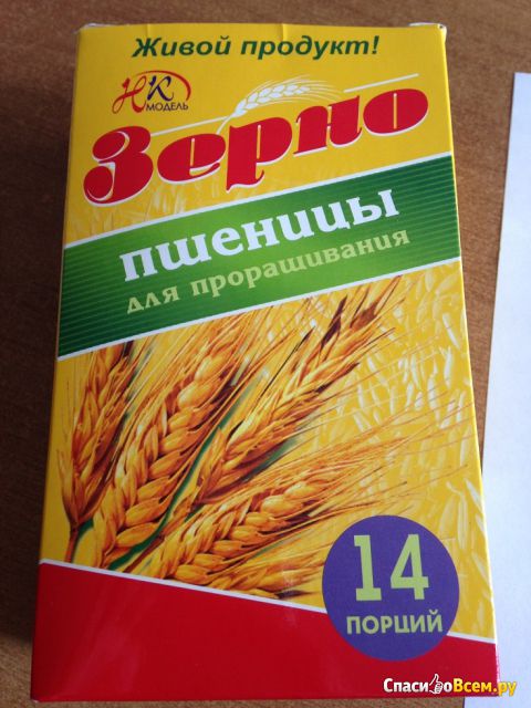 Зерно пшеницы для проращивания "НК модель"