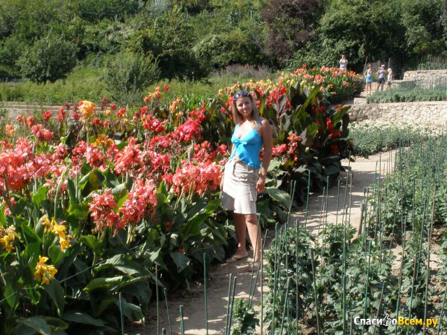 Никитский ботанический сад (Крым, Ялта, п. Никита)