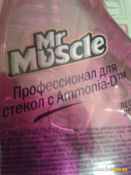 Чистящее средство для стекол Mr. Muscle "Лесные ягоды"