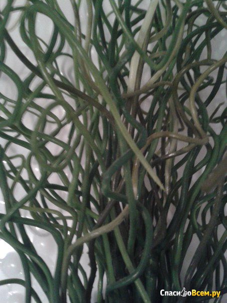 Искусственное растение в горшке, травы, различные растения Фейка IKEA