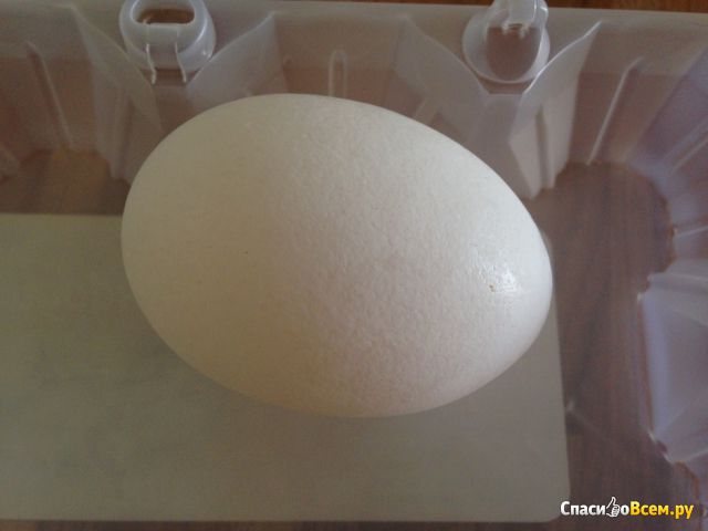 Яйцо куриное "Чепфа" отборное столовое