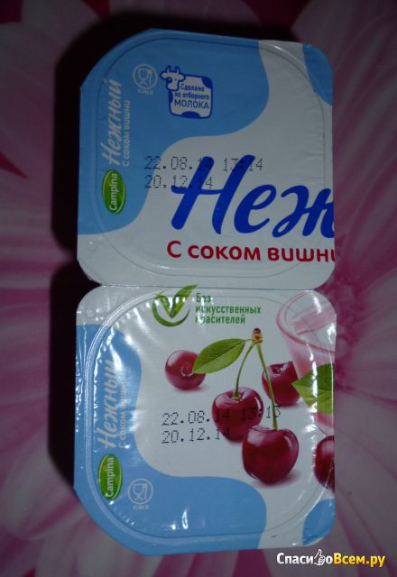 Йогурт Campina Нежный с соком вишни 1,2%
