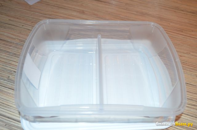 Контейнер двухсекционный Бытпласт "Рондо" для холодильника и микроволновой печи с декором