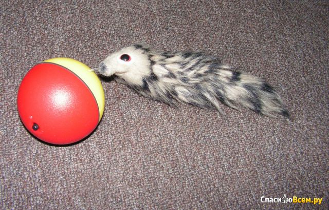 Моторизованный мяч качения Toyco для собак кошек