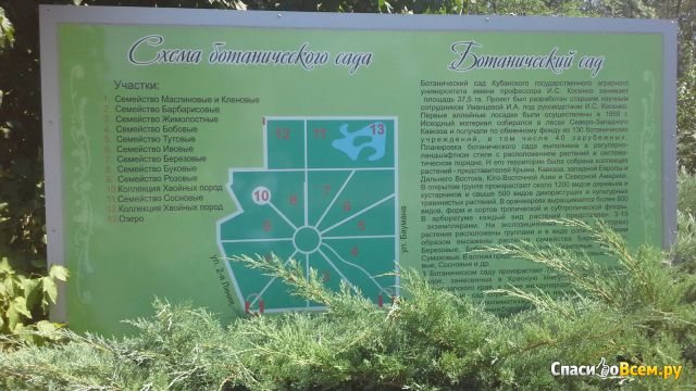 Краснодарский ботанический сад - дендрарий КубГАУ (Краснодар, ул. Калинина, д. 13)