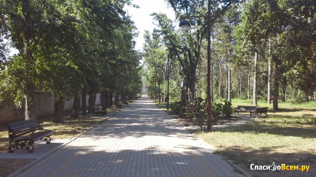 Краснодарский ботанический сад - дендрарий КубГАУ (Краснодар, ул. Калинина, д. 13)