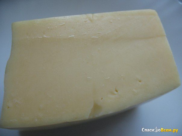 Сыр «Голландский» Белебеевский молочный комбинат