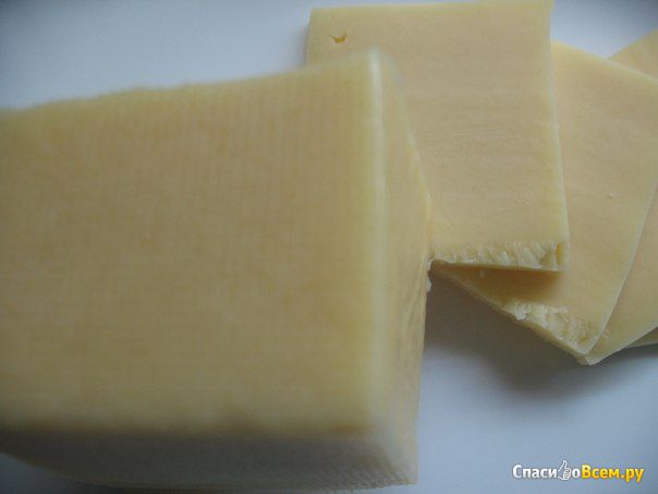 Сыр «Голландский» Белебеевский молочный комбинат