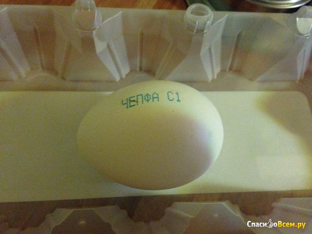 Яйцо куриное "Чепфа" Spar столовое 1 категории С1