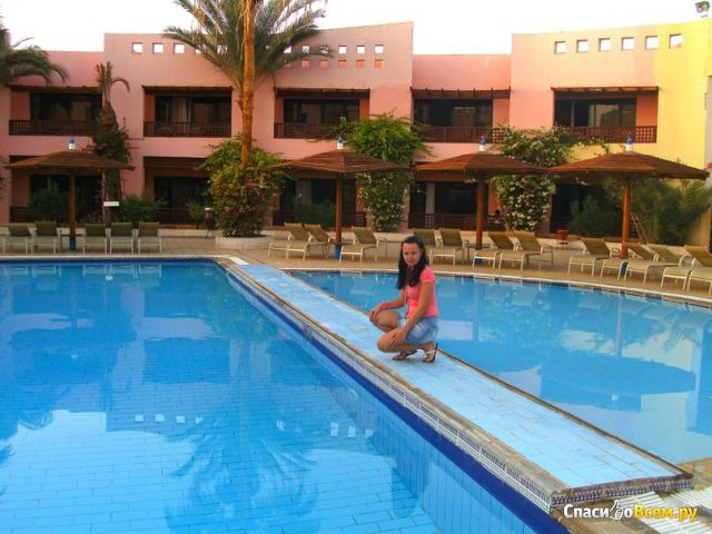 Отель Golden 5 The Club Hotel 4* (Египет, Хургада)