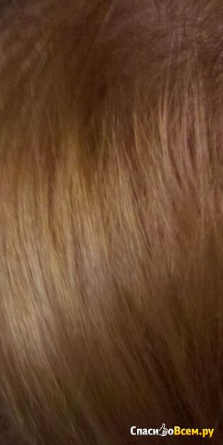 Стойкая СС крем-краска для волос Faberlic Krasa 10.1 с маслом амлы и аргинином