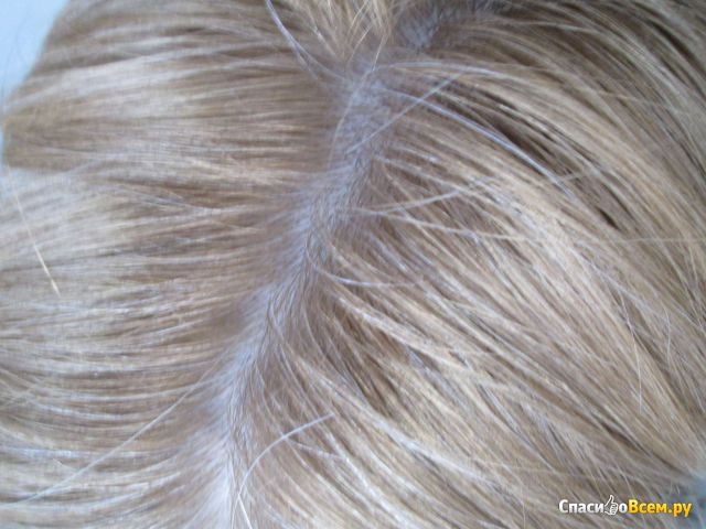 Крем-краска для волос Syoss "Холодный блонд экстра" 10-95