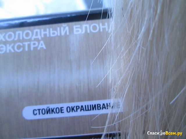 Крем-краска для волос Syoss "Холодный блонд экстра" 10-95