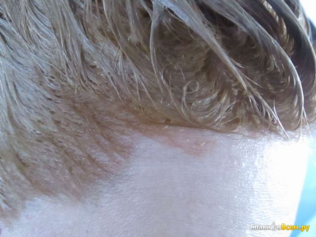 Крем-краска для волос Syoss "Песочный блонд экстра" 10-98