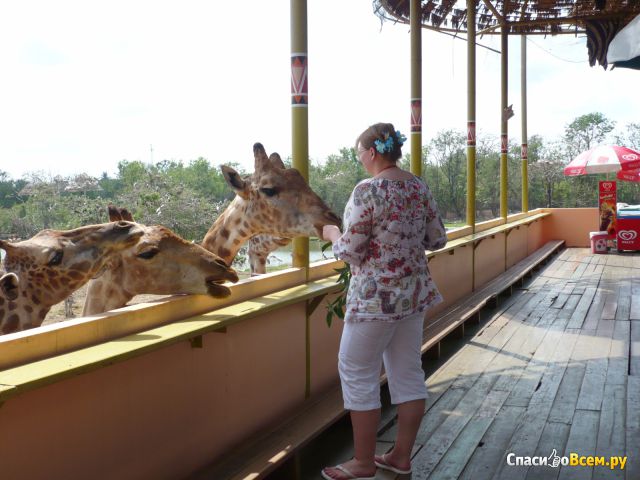 Парк Safari World (Таиланд, Бангкок)