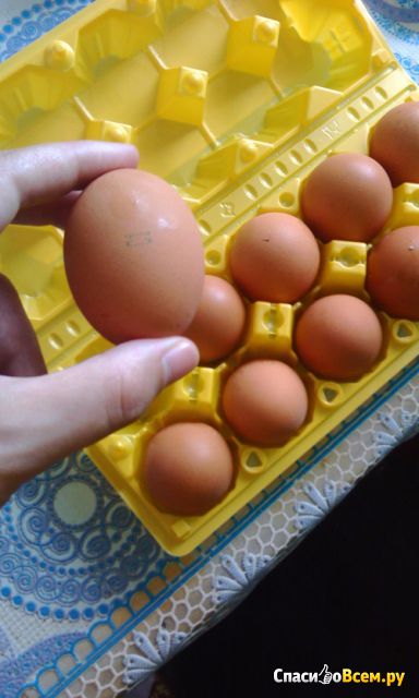 Яйцо куриное пищевое столовое  "Матрёнин двор" категории С1