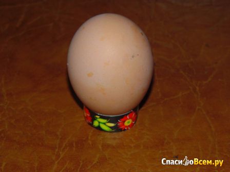 Набор красителей пищевых перламутровых для яиц "Малахит"