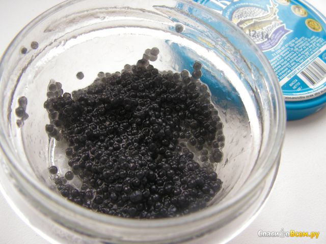 Икра «Дары моря» черная пастеризованная «Гринадини»