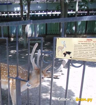 Харьковский зоопарк (Харьков)