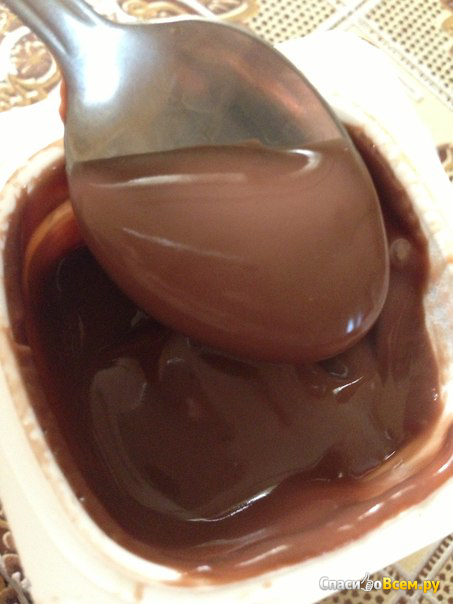Шоколадный молочный пудинг "Эрмигурт" Ehrmann 3,2%
