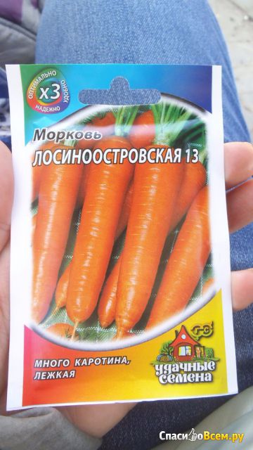 Семена Морковь Лосиноостровская 13 «Удачные семена» Гавриш
