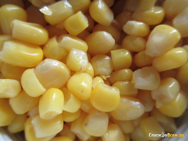 Кукуруза отборная сахарная в зернах «Огородников»