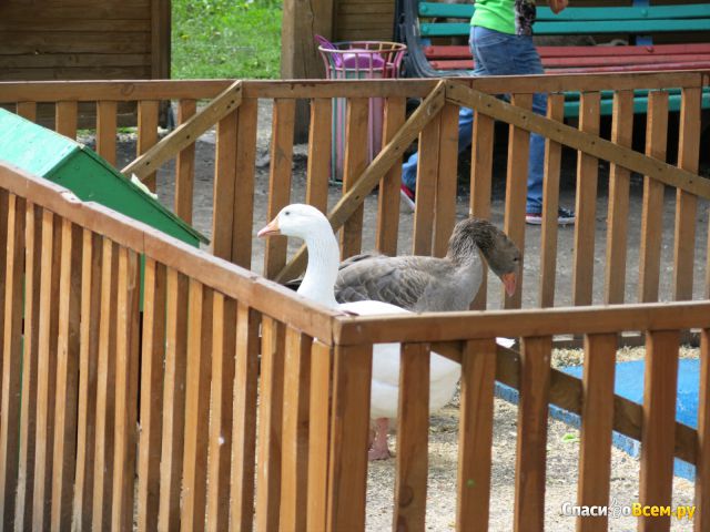Детский контактный зоопарк "Райский уголок" (Челябинск, ул. Цвиллинга, д. 25)