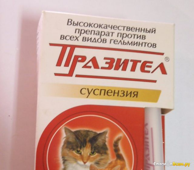 Препарат против гельминтов для кошек и котят cуспензия Скифф "Празител"