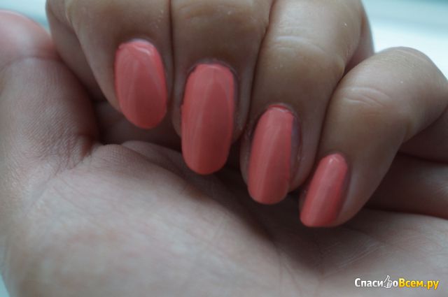 Лак для ногтей Essence the gel nail polish № 24 Indian summer