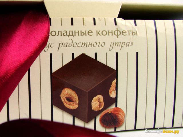 Шоколадные конфеты O’Zera «Вкус радостного утра» с целым фундуком "Озерский сувенир"